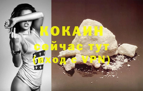 гашик Зерноград