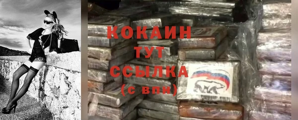 гашик Зерноград