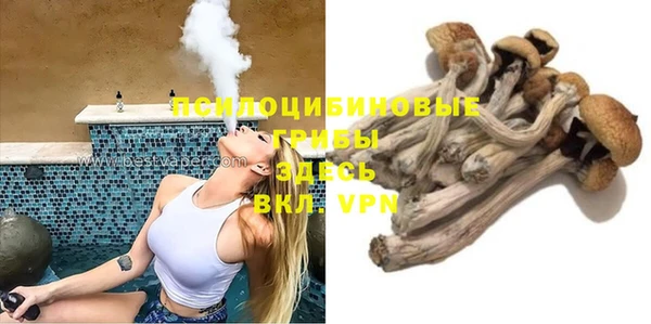 гашик Зерноград