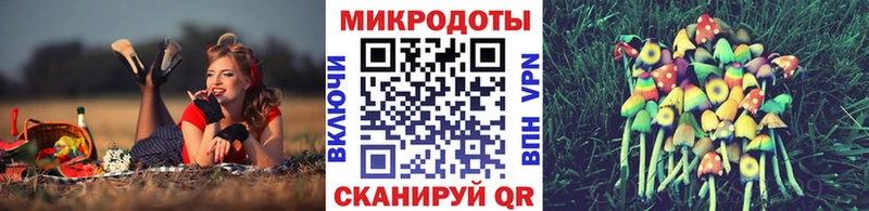 Купить где  Жуков  Псилоцибиновые грибы Magic Shrooms 