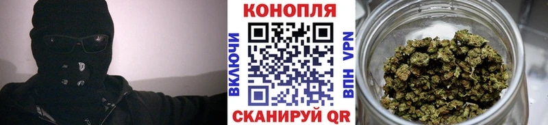 Бошки марихуана THC 21%  Купить где  Жуков 